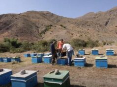 Էկո-արտադրություն Ուրցաձորում (տեսանյութ)