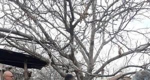 Շիրակի մարզպետը ծանոթացավ համայնքներում առկա խնդիրներին